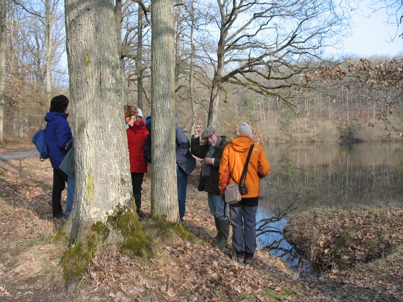 Lichens forestiers 3.3.2013 062